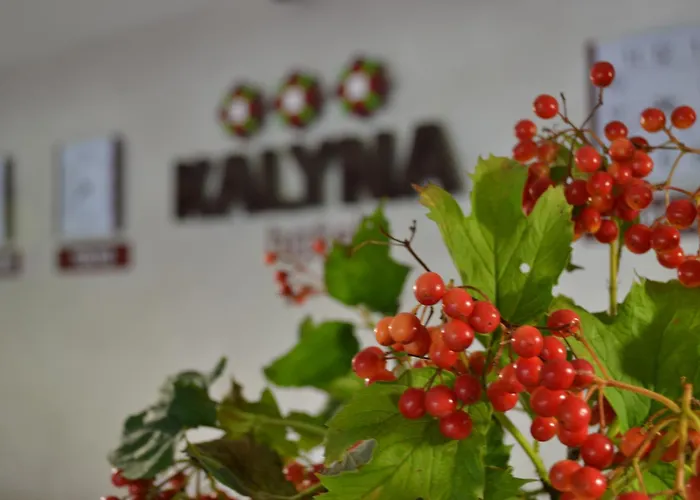 Отель Kalyna